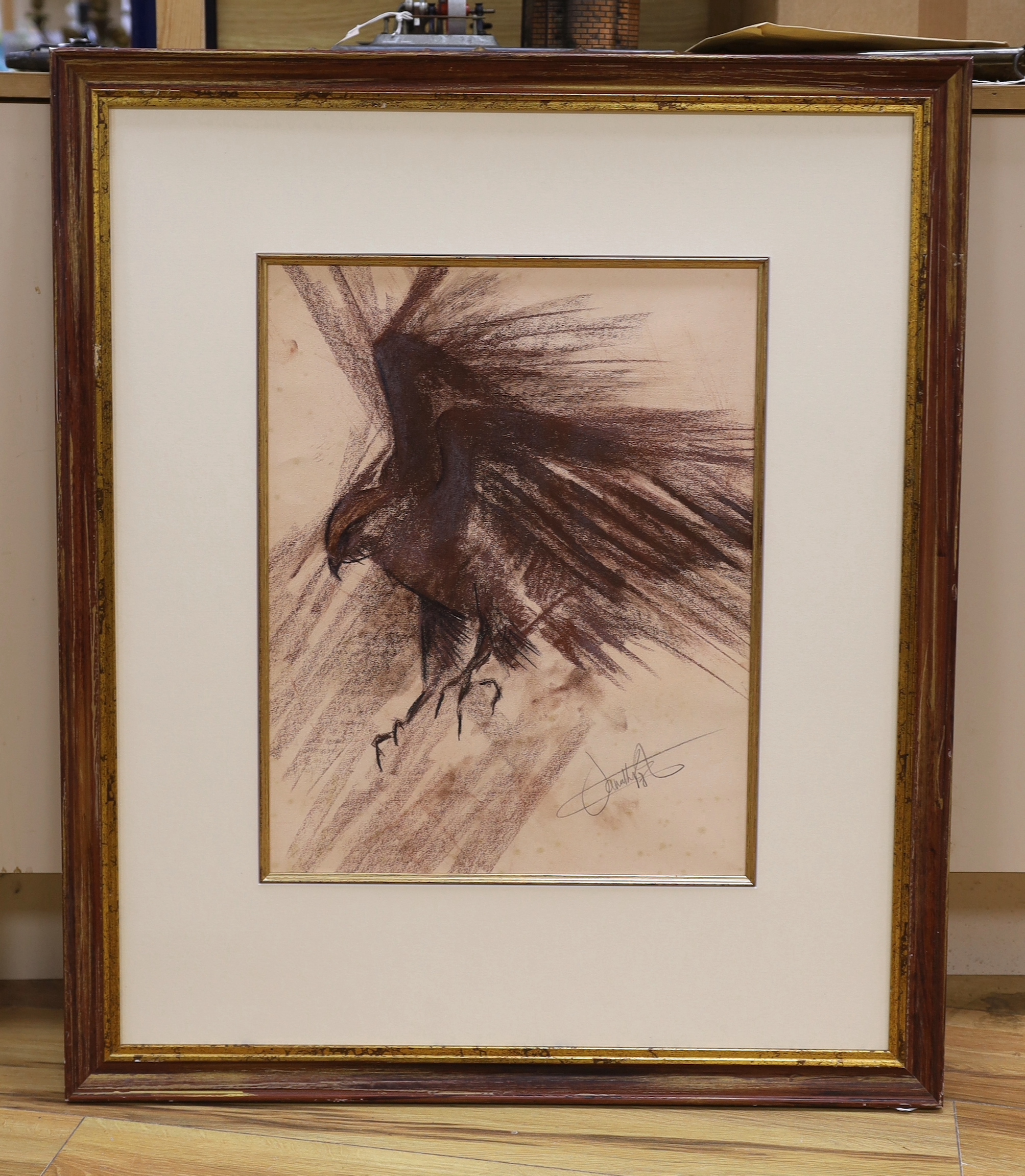 Late 20th century, pastel sketch of a falcon, indistinctly signed, 49.5 x 39 cm